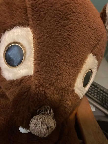 Photo of free "Mom Bear" (Spring Hill, Somerville) #4