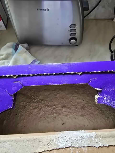 Photo of free Biological laundry powder (Birchington CT7) #2