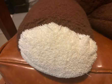 Photo of free "Mom Bear" (Spring Hill, Somerville) #3