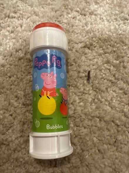 Photo of free Bubbles (Beverstone GL8) #1