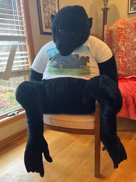 Photo of free Gorilla Stuffed Animal (Farmington Hills) #1