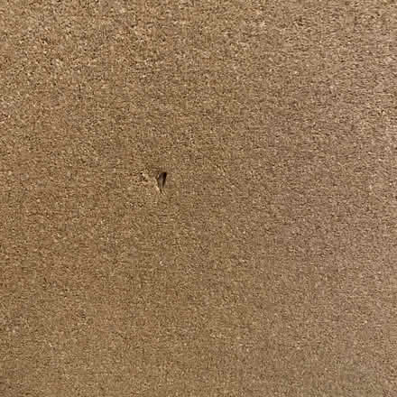 Photo of free Whiteboard & corkboard combo (Bethesda, MD) #2