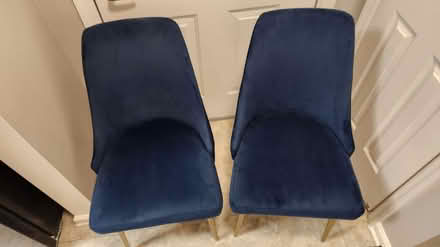 Photo of free Two blue velvet chairs (King Farm) #3
