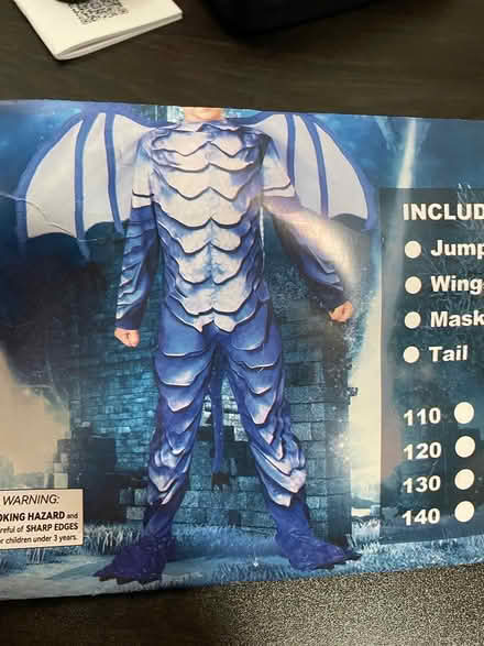 Photo of free Never Worn Kids Costume (Arden Area) #1