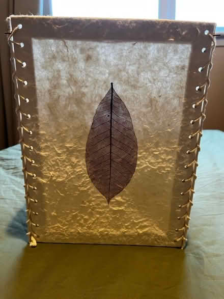 Photo of free Paper lampshade (Balerno EH14) #3