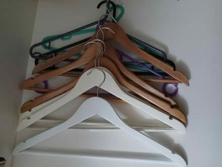 Photo of free A very large bag of hangers (South reading RG2) #1