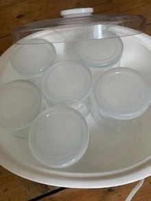 Photo of free Electric Yoghurt Maker (Selhurst CR0) #2