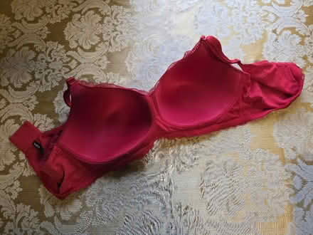 Photo of free Red Bra (Torrid 48C) (West 7th) #4