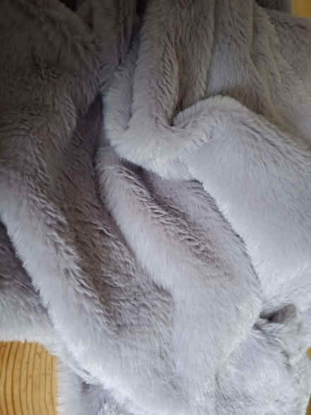 Photo of free Fur fabric (Ormskirk L39) #1