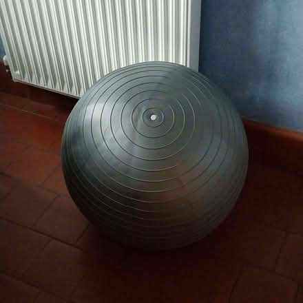 Photo of free Exercise Ball (Callow End WR2) #1
