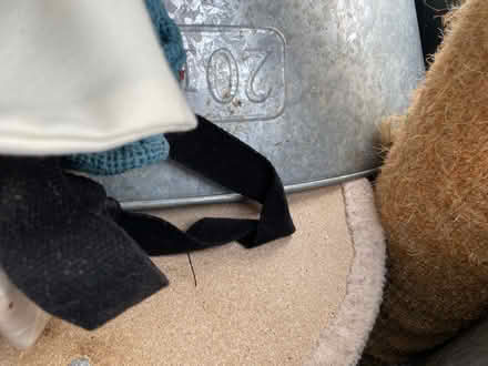 Photo of free Cat Climb Tower Galvanized Bucket (35 Martens Blvd, San Rafael) #2