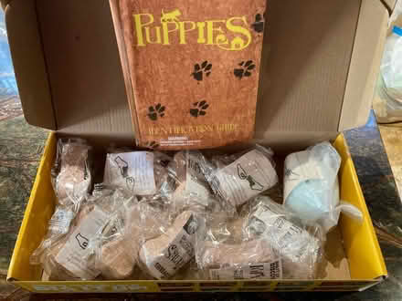 Photo of free Dig It Up puppies (Downtown Frederick) #2