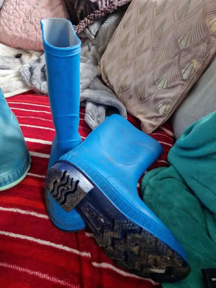 Photo of free Wellies size 3 and 4 (Dove Holes SK17) #2