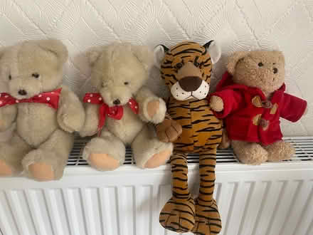 Photo of free Soft toys (ST14) #1