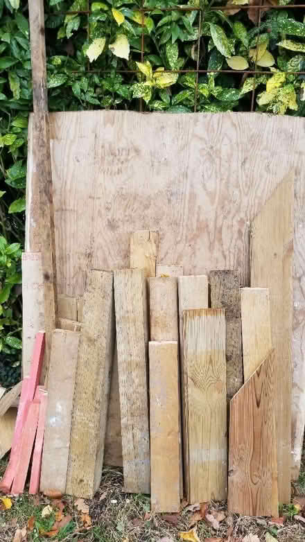 Photo of free Selection of off cuts of wood. (Binfield RG42) #1
