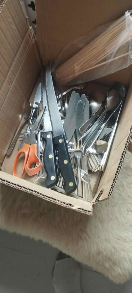 Photo of free Cutlery (Hooe) #1