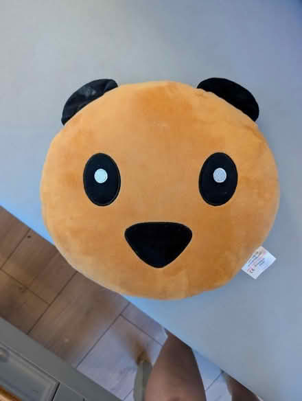 Photo of free Double side pillow (Colindale NW9) #2