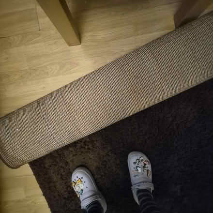 Photo of free Rug (Blacon CH1) #3