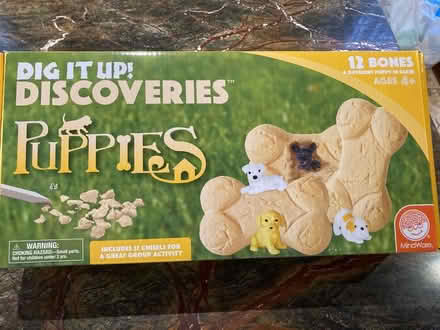 Photo of free Dig It Up puppies (Downtown Frederick) #1