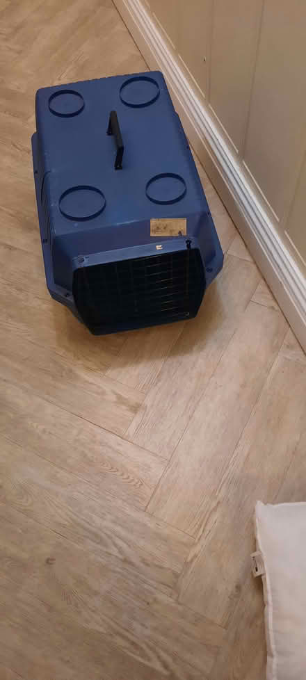 Photo of free Cat/small dog carrier (Chapeltown LS7) #1