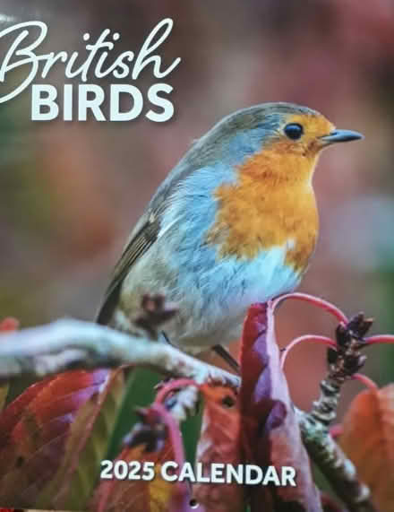 Photo of free 2025 Wall calendar British birds (Stockbridge EH4) #1