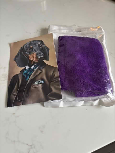 Photo of free Dog snood (BR3) #1