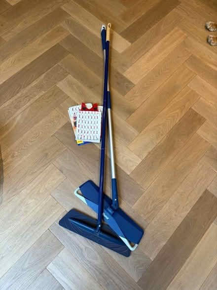 Photo of free Mops (Hampstead) #1