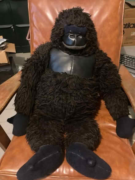 Photo of free large stuffed gorilla (Spring Hill, Somerville) #1