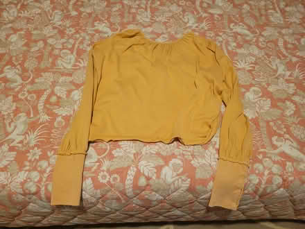 Photo of free Adult Sweatshirt (North Cambridge) #1