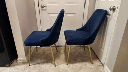 Photo of free Two blue velvet chairs (King Farm) #2
