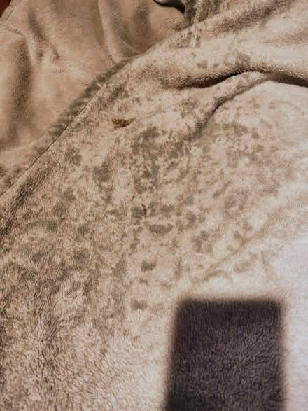 Photo of free 7x7' fuzzy blanket (Westmont) #3