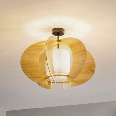 Photo of free Light fitting (Balerno EH14) #1