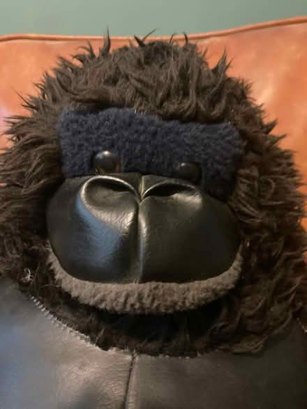 Photo of free large stuffed gorilla (Spring Hill, Somerville) #2
