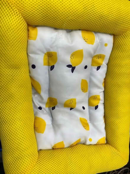 Photo of free 2 cat beds (Lawrence/ El Camino Real) #2