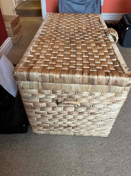 Photo of free Rattan chest (Hadfield SK13) #3
