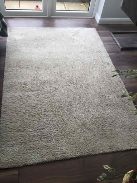 Photo of free Light beige rug (Cheam) #2
