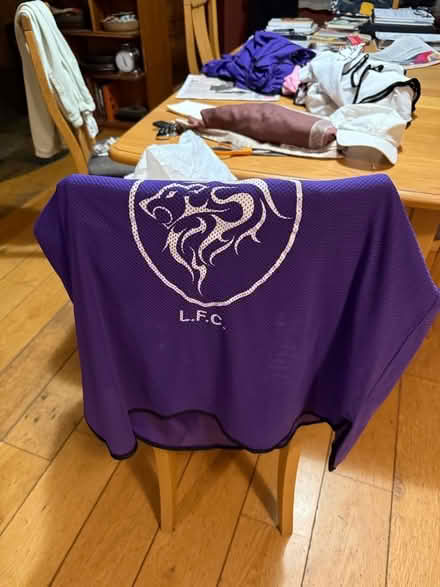 Photo of free 16 x Large Sport Bibs (Cumnor OX2) #1