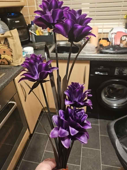 Photo of free Flowers (Ashton in Makerfield WN4) #2