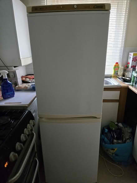 Photo of free Candy fridge freezer (Keighley BD22) #1