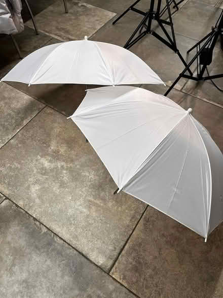 Photo of free Photographic studio lights (Hotwells) #3