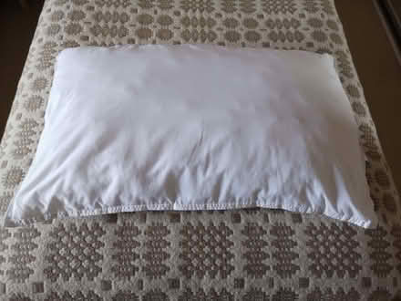 Photo of free Polyester Pillow (Newtown St Boswells TD6) #1