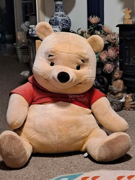 Photo of free Large Pooh Bear (Loughborough LE11) #1