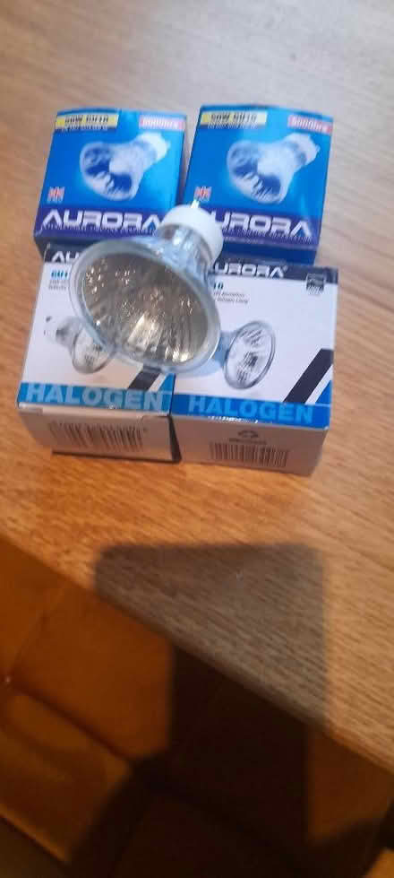 Photo of free Electric light bulbs (Burbage SK17) #1