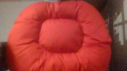 Photo of free waterproof dog cushion medium (Bath BA2) #3
