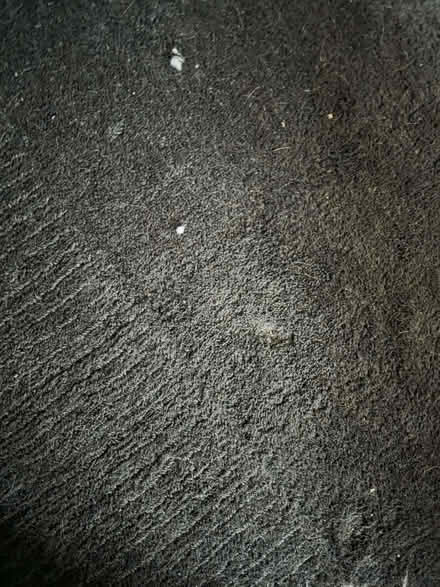 Photo of free Dark grey rug (Telford and Wrekin TF4) #1