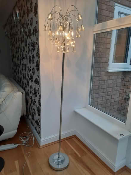 Photo of free Standard lamp (Solihull B91) #1