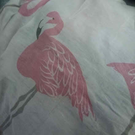 Photo of free Old duvet cover - damaged (Fishwick PR1) #2