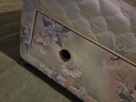 Photo of free Double Bed Divan (Cannock WS11) #3