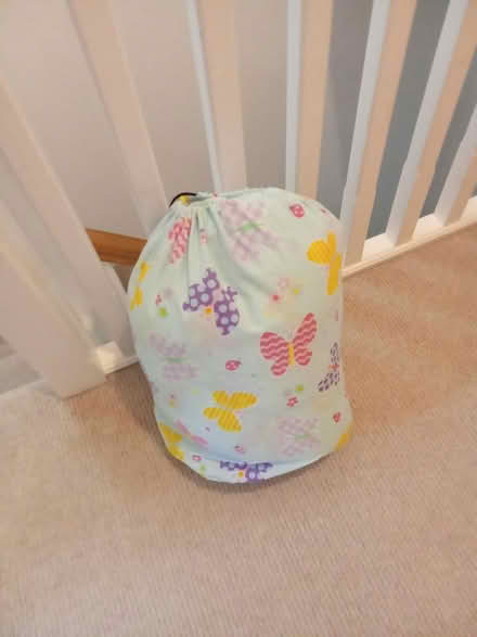 Photo of free Child's sleeping bag (Taunton TA1) #2