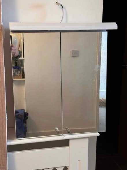 Photo of free Mirrored bathroom cabinet (Butterow GL5) #1